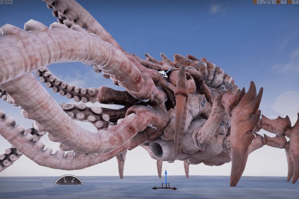 Kraken 23 at