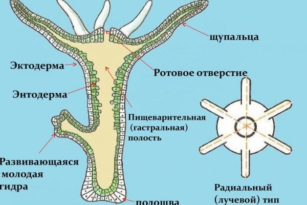 Kraken зеркало krakentor site