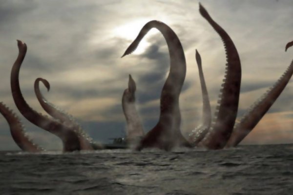 Kraken17 at