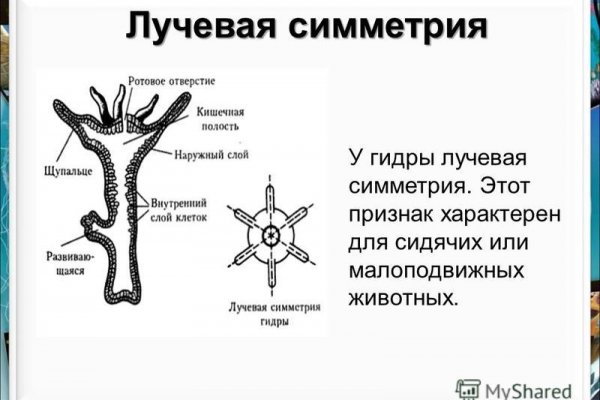Рабочая ссылка кракен маркетплейс